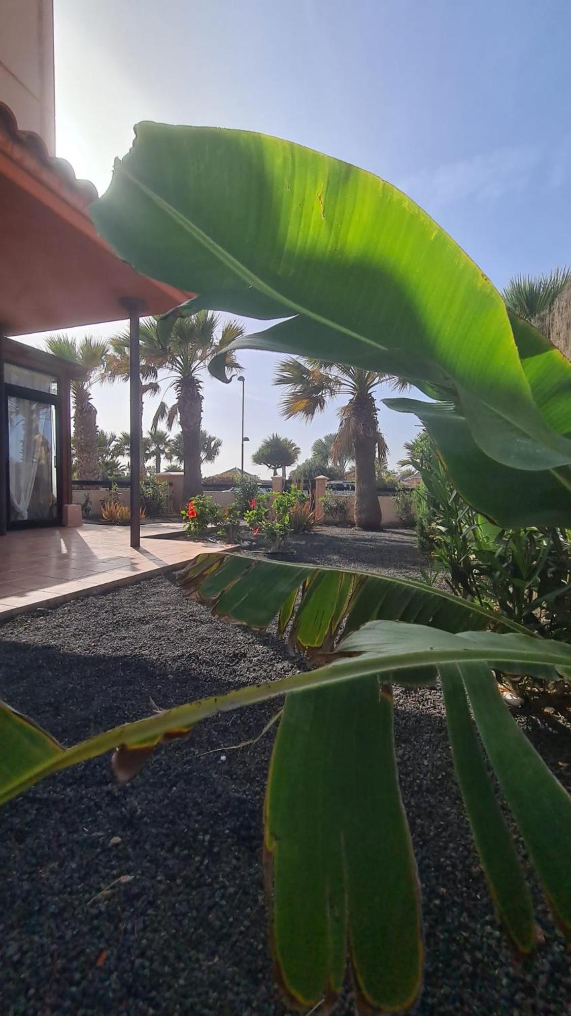 Green Ocean House - Origo Mare لاجاريس المظهر الخارجي الصورة